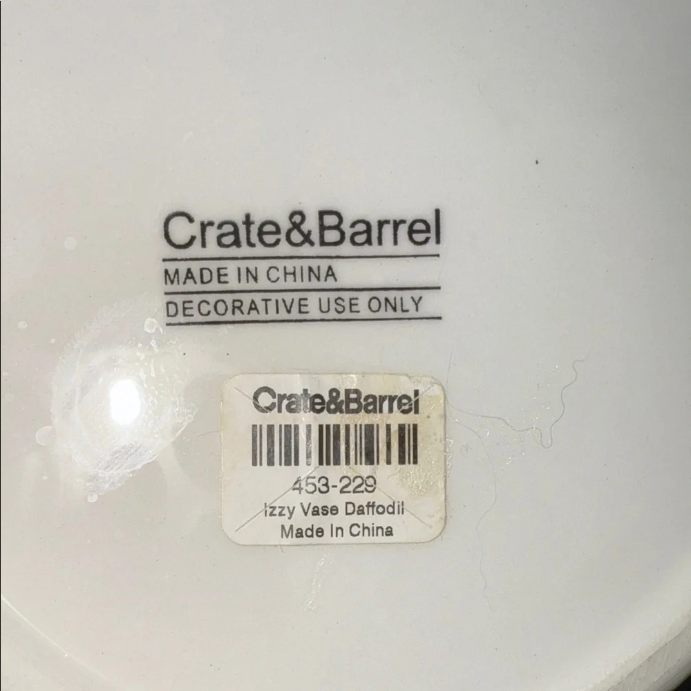 Crate & Barrel Izzy Daffodil Vase